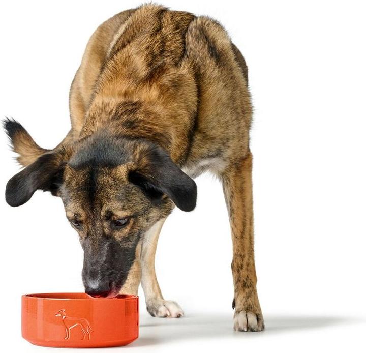 Produktbild Hunter Futternapf für Hunde OSBY Orange aus Keramik 1,1 L (110 cl)