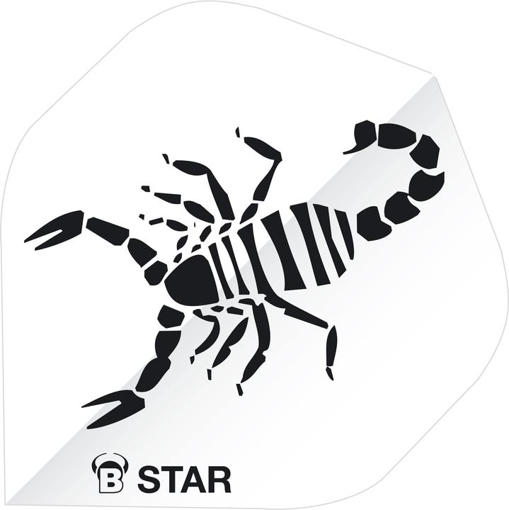 Bull's B-Star Flights
