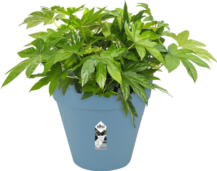 Actual product image Elho Loft Urban (50 cm)