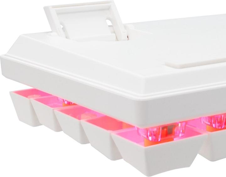 Actual product image Baracuda BGK-03221 Dolphin Weiss US Mechanische Blaue Schalter (US, Cable)