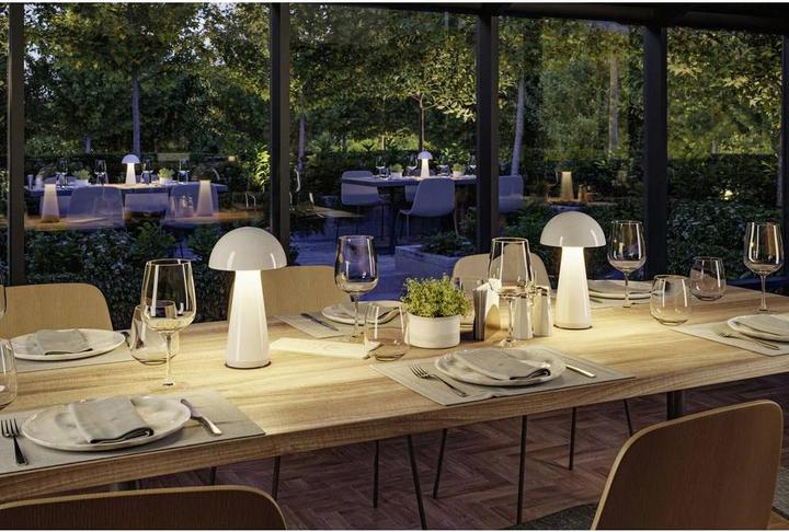 Image du produit Paulmann Onzo (240 lm)