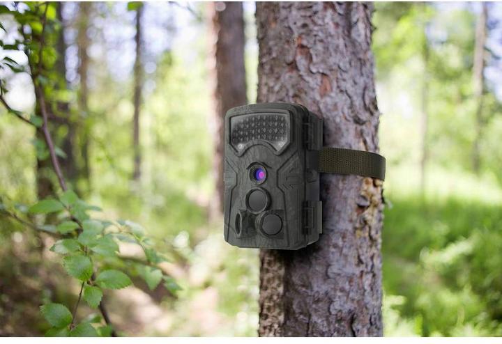 Actual product image Renkforce RF-HC-550
