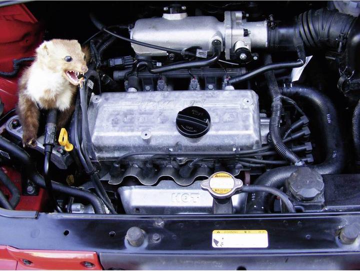 Image du produit Kemo M 186