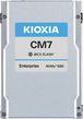 Actual product image Kioxia CM7-R (7680 GB, 2.5")