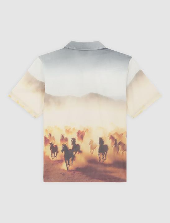 Produktbild Dickies Running Wild Shirt SS (M)