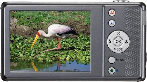 Image du produit Pentax Optio VS20, 16MP, zoom WW 20x, HD, 2 déclencheurs (1/2,3'')
