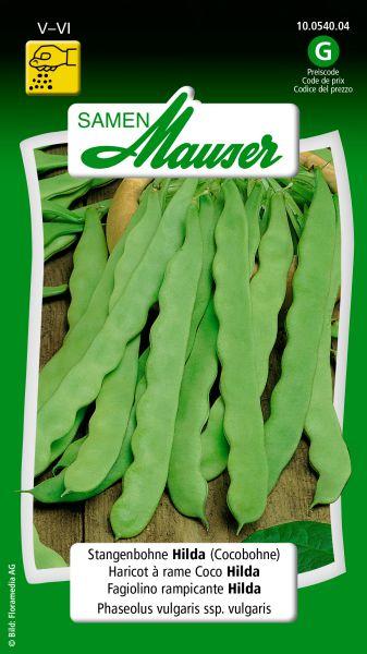 Image du produit Samen Mauser Haricot vert Hilda (Haricot coco) (Graines de légumes)