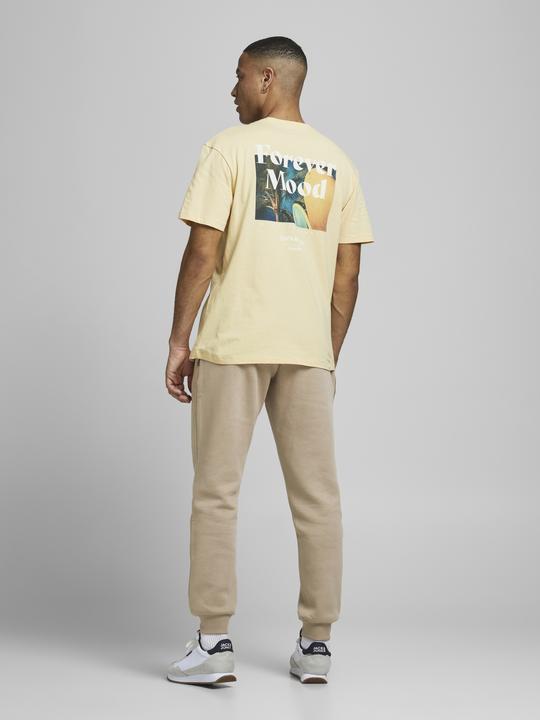 Immagine prodotto Jack & Jones Gordon Weich Sweathose (XL)