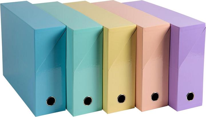 Image du produit Exacompta Boîtes d'archives (A4, 90 mm, 1 pcs)