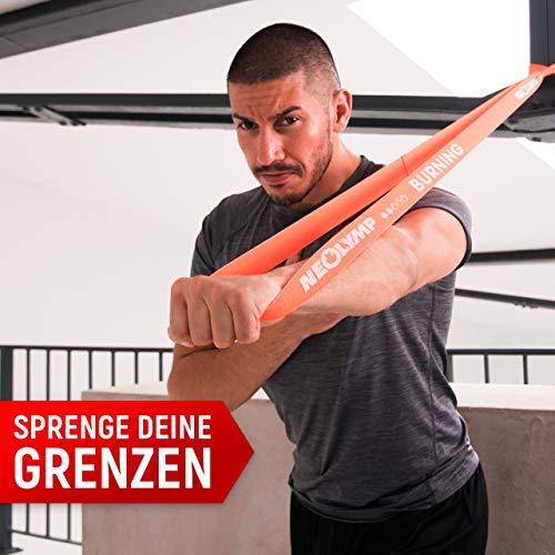 Immagine prodotto Neolymp Set di 3 bande Premium Therabands