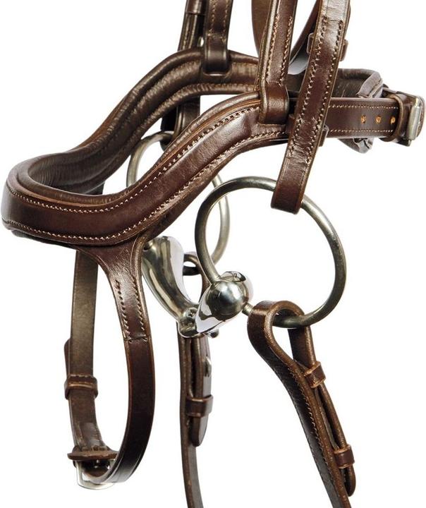 Produktbild Harry's Horse Anatomic