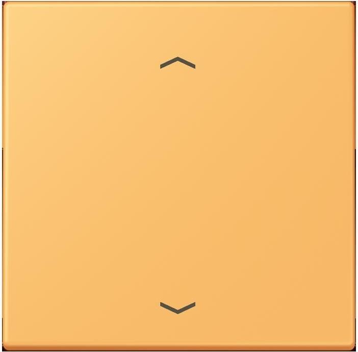 Image du produit JUNG Bouton de contrôle