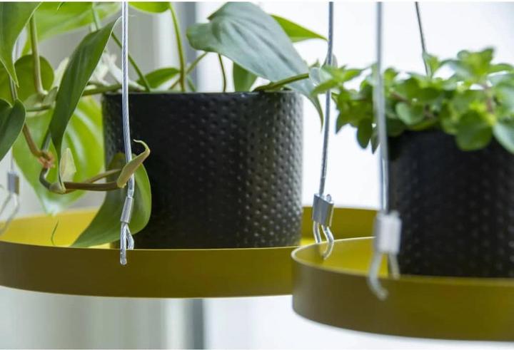 Image du produit Esschert Design Dekoratives Tablett