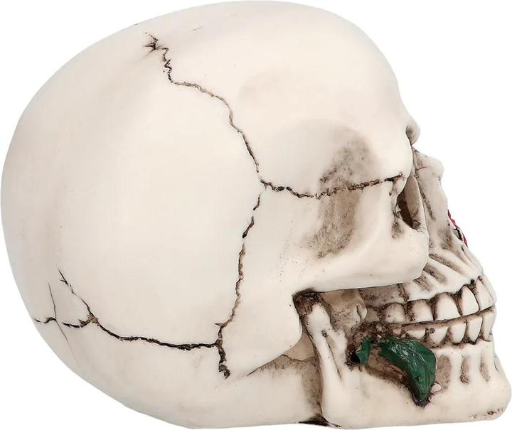 Produktbild Boland Totenkopf Schädel Casanova (1 Stück)