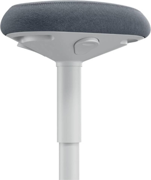 Image du produit Leitz Ergo Active
