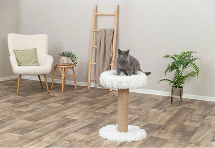 Actual product image PETS Collection 48123 (55 cm, Beige, White)