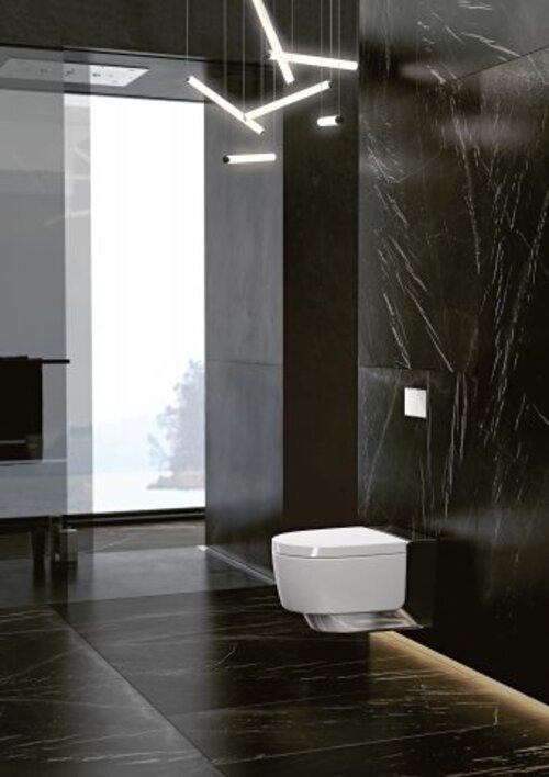 Produktbild Geberit Aquaclean Mera Classic