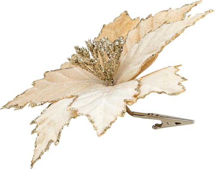 Image du produit pfister Nostalgia