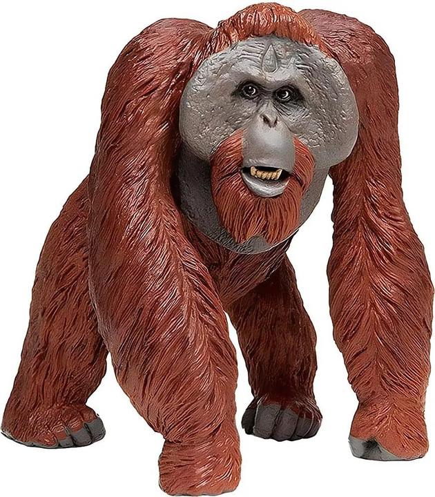 Image du produit Safari Wlw Borneo Orang-outan