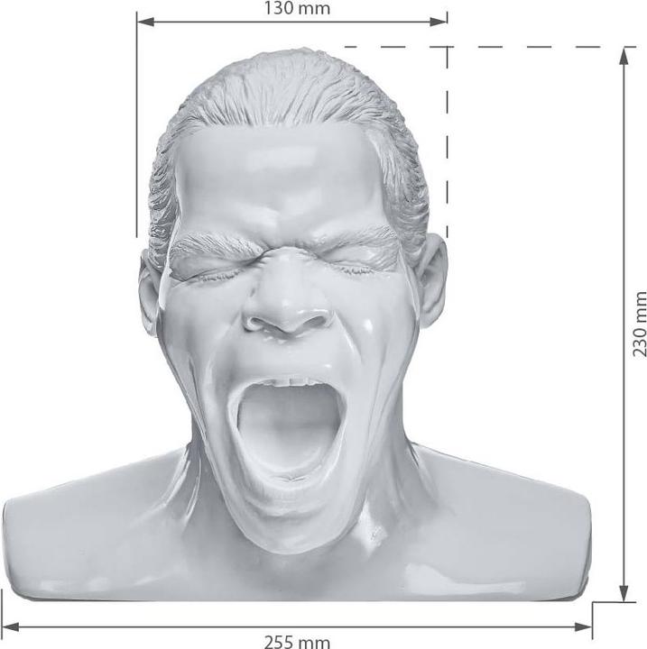 Produktbild Oehlbach Scream