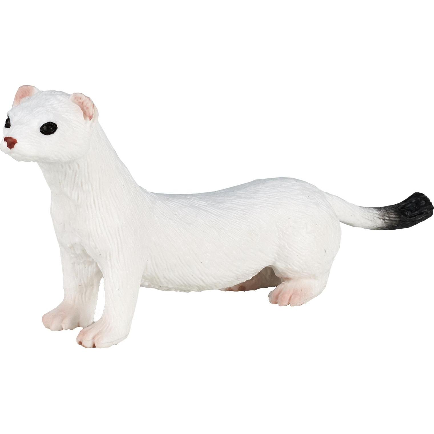 Animal Planet Hermine fouine