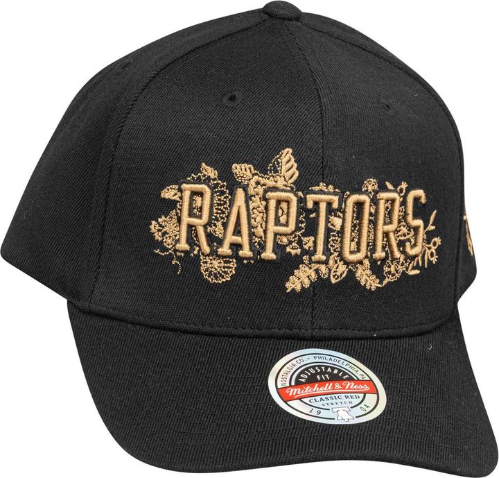 Produktbild Mitchell & Ness Snapback Stretch Cap - Haze Toronto Raptors