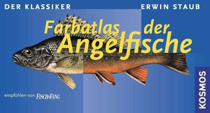 Immagine prodotto Kosmos Farbatlas der Angelfische (Tedesco, Polvere di Erwin, 2000)