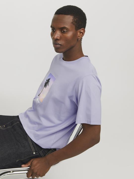 Produktbild Jack & Jones Jorvesterbro Picture Tee Ss Crew Neck Sn (L)