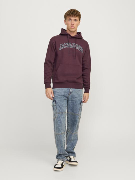 Actual product image Jack & Jones Jjecaleb Varsity Sweat Hood Noos (S)