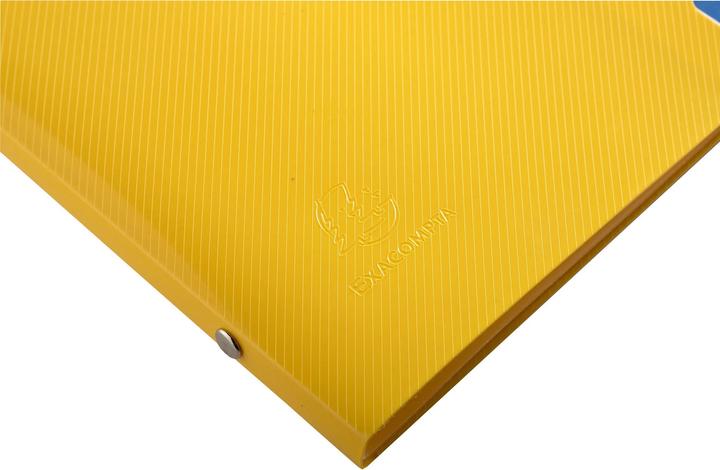 Produktbild Exacompta Fächermappen Set Bee Blue (A4, 1x)