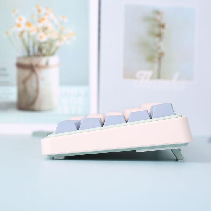 Image du produit Varmilo Minilo VXT67 Eucalyptus (US, Filaire, Sans fil)