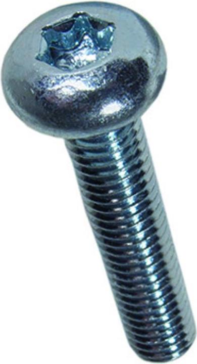 Werkstarck Metalen schroeven panhead (100 Schroeven per stuk)