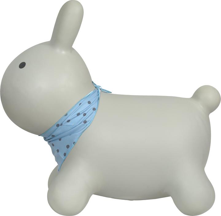 Produktbild Kindsgut Hüpftier