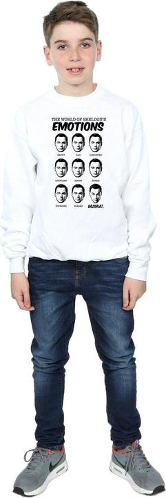 Produktbild Dam Sheldon Emotions Sweatshirt Jungen (140, 146)
