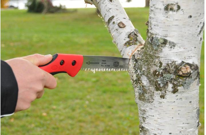 Actual product image Felco Tree Saws