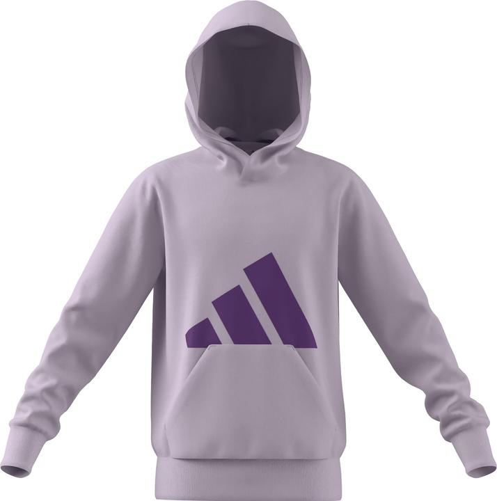 Produktbild Adidas J Bl Ft Hd 280 - icelav/actpur (128)