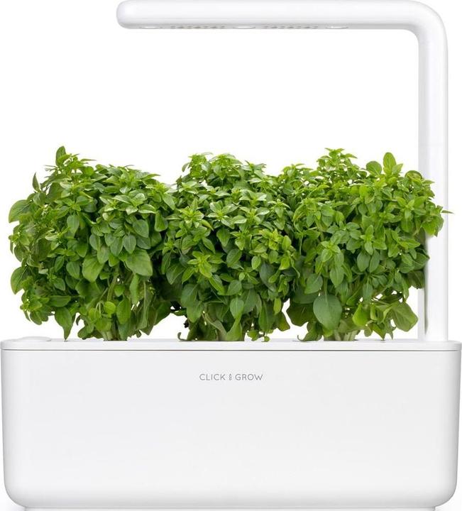 Image du produit Click and Grow Basilic nain (Graines d'herbes aromatiques)