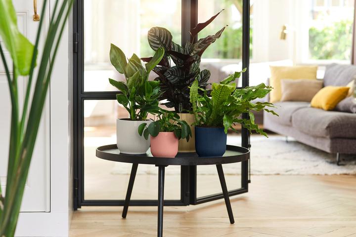 Immagine prodotto Elho Vibes Fold (18 cm)