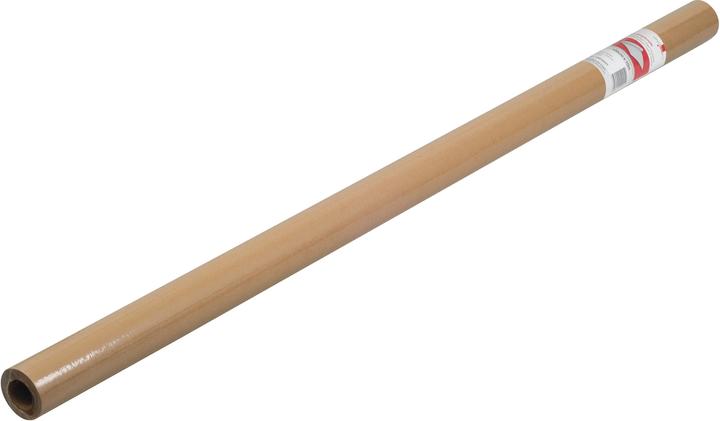 Elco Papier d'emballage Kraft 10cmx10m (1 pièce(s))