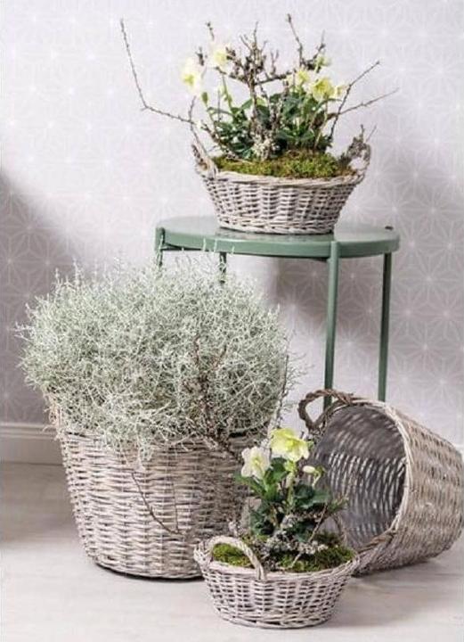 Image du produit Opiflor Hesse (27 x 24 cm)