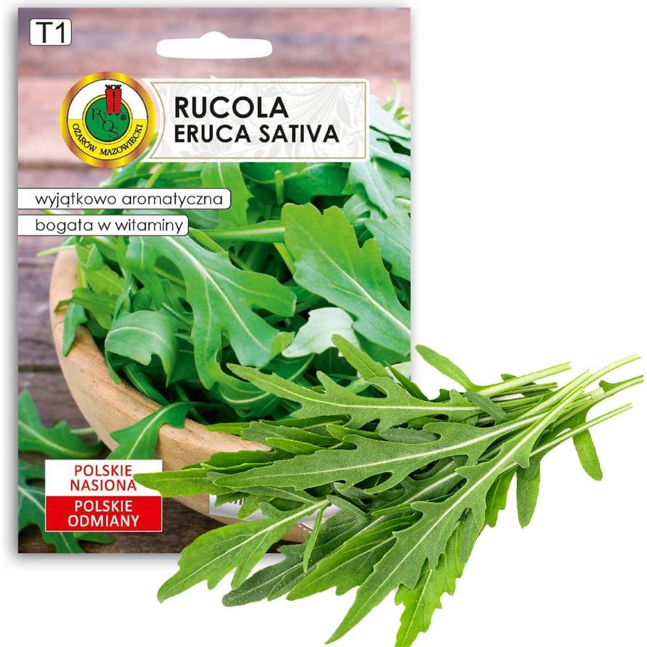 Apte, Semi, PNOS Samen auf Band Rucola Eruca Sativa 6 m Band (Semi di verdura)
