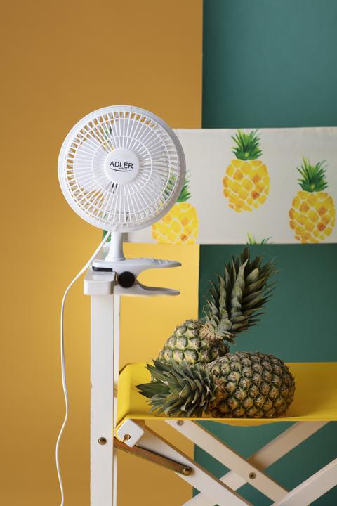 Image du produit Adler AD7317 (46.44 dB)