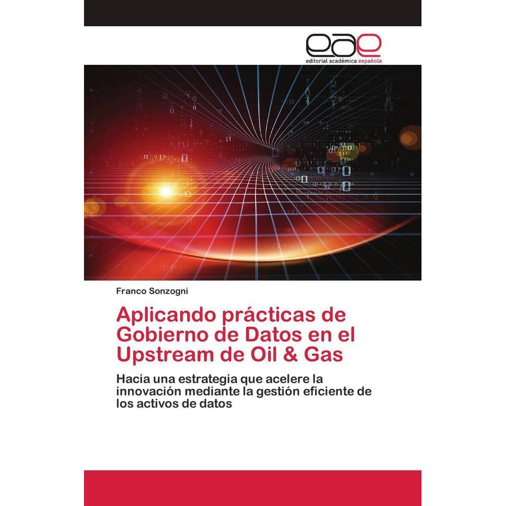 Aplicando prácticas de Gobierno de Datos en el Upstream de Oil & Gas, Fachbücher von Franco Sonzogni