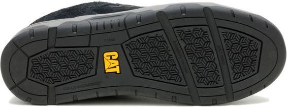 Produktbild Cat Theorem (41)