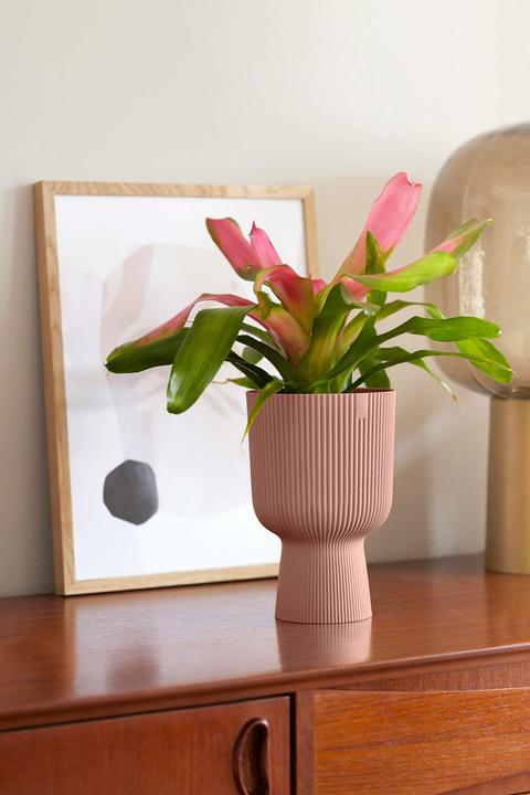 Produktbild Elho Vibes Fold Coupe (14 x 21 cm)