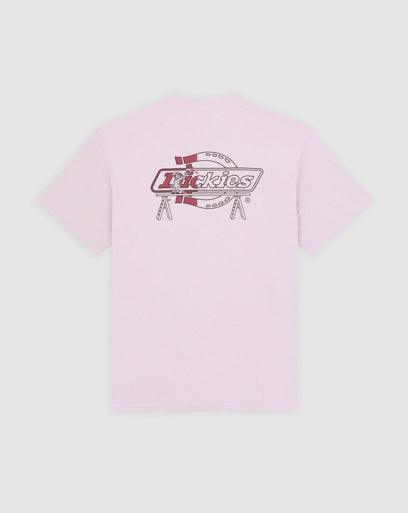Actual product image Dickies Statesville Tee SS (XL)