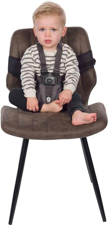 Image du produit Dooky Siège de voyage à 5 points avec velcro