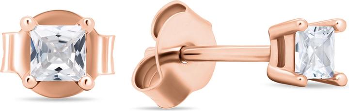 Image du produit Brilio Silver - Boucles d'oreilles en bronze étincelant avec zircons EA617R