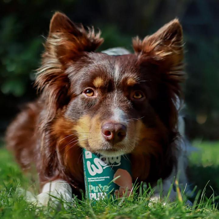 Immagine prodotto WOW 100% Pur Single Protein (Adulto, 1 pz., 461 g)