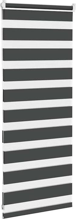 Produktbild vidaXL Zebra-Jalousie (60 x 100 cm)